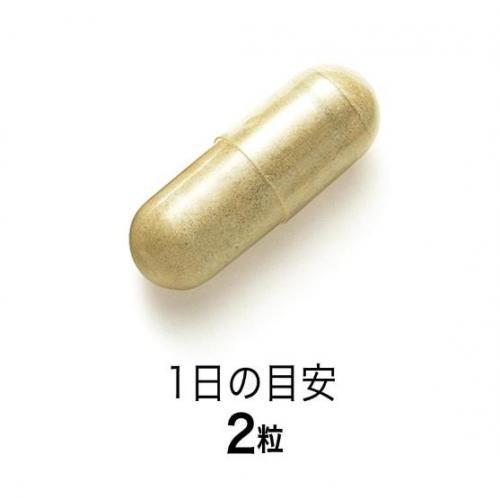 Fancl Fancl Propolis Capsule About 30 Days 60 Tablets Japan With Love