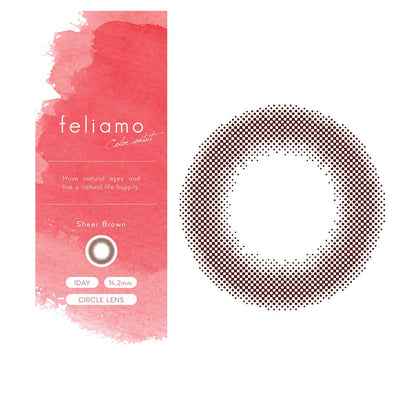 We Rejoice Feliamo Feriamo One Day Uv 10 Sheets Mai Shiraishi Japan Image Model Sheer Brown -0.50