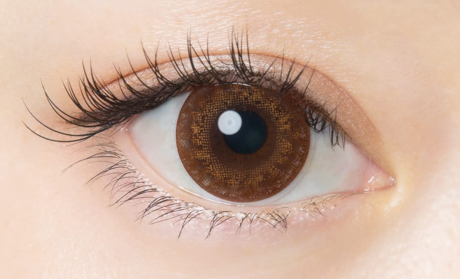 Flanmy Japan 1Day 30Pcs Pwr -04.50 Orange Brownie