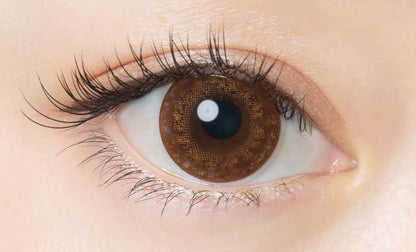 Flanmy Japan 1Day 30Pcs Pwr -04.50 Orange Brownie