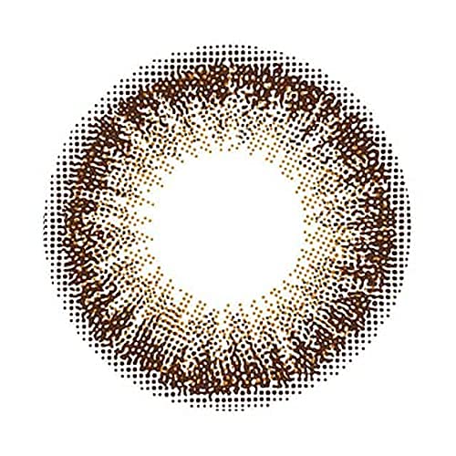 Flanmy One Day Chocolate Tart -02.75 Power 30 Pieces Japan