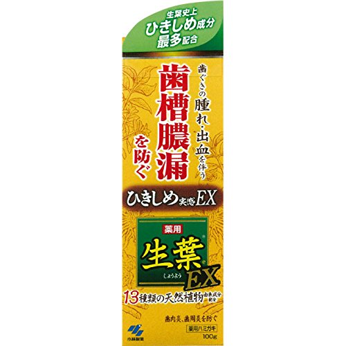 Obayashi Pharmaceutical Fresh Leaf Ex 100g x 4 Pieces - Japanese Supplements Products - Health Care