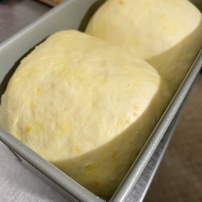 Fuji Horo 搪瓷麵包模具 57287 1 Loaf 日本氟處理烤盤