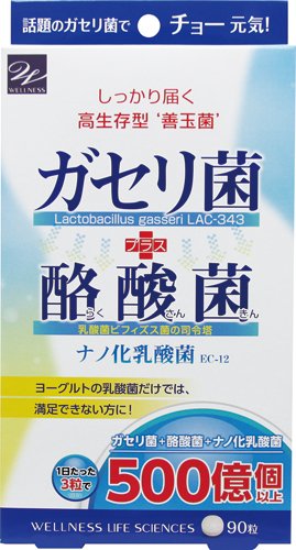 Wellness Life Science Gasseri & Butyric Acid Bacteria 90 Grains From Japan