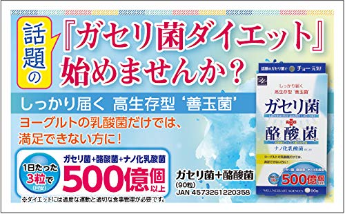 Wellness Life Science Gasseri & Butyric Acid Bacteria 90 Grains From Japan