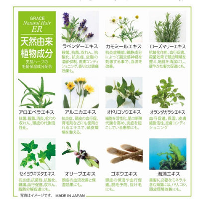 Grace Japan Natural Er Treatment Moist 310G