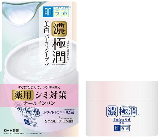 Hada Labo Dark Polar Jun All In One Whitening Perfect Gel Japanese Skincare Japan With Love