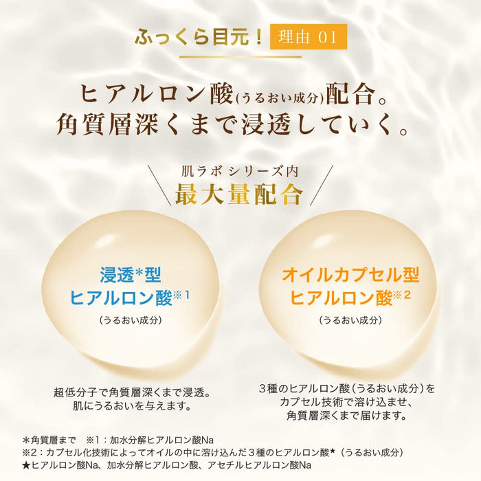 Rohto Hada Labo Gokujun Premium Hyaluronic Eye Cream 20g - Highly Moisturizing Eye Cream