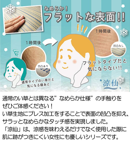 Hagiwara 81935250 Rush Sheet Japan Made Blue W80Xd170Cm No Skin Marks