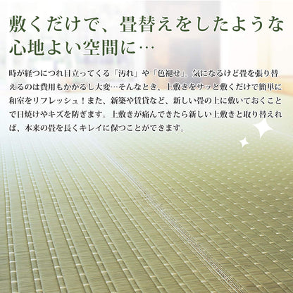 Hagiwara Rush Natural Edoma 2 Tatami Domestic Rush Flower Mat Carpet Japan Kiccho 81850620