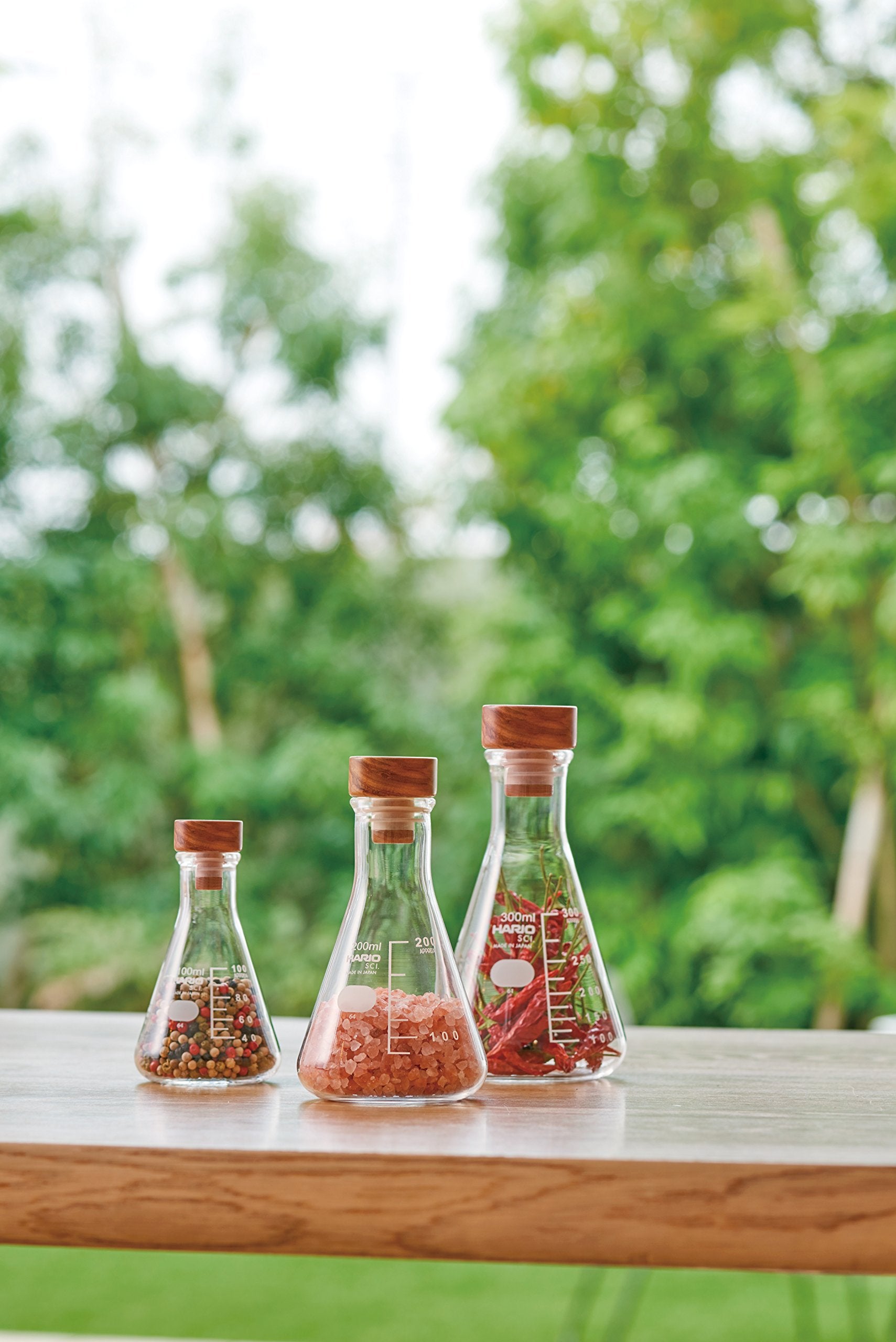 Hario Erlenmeyer Flask Stocker M Clear Sfs-M Japan (120 Characters)