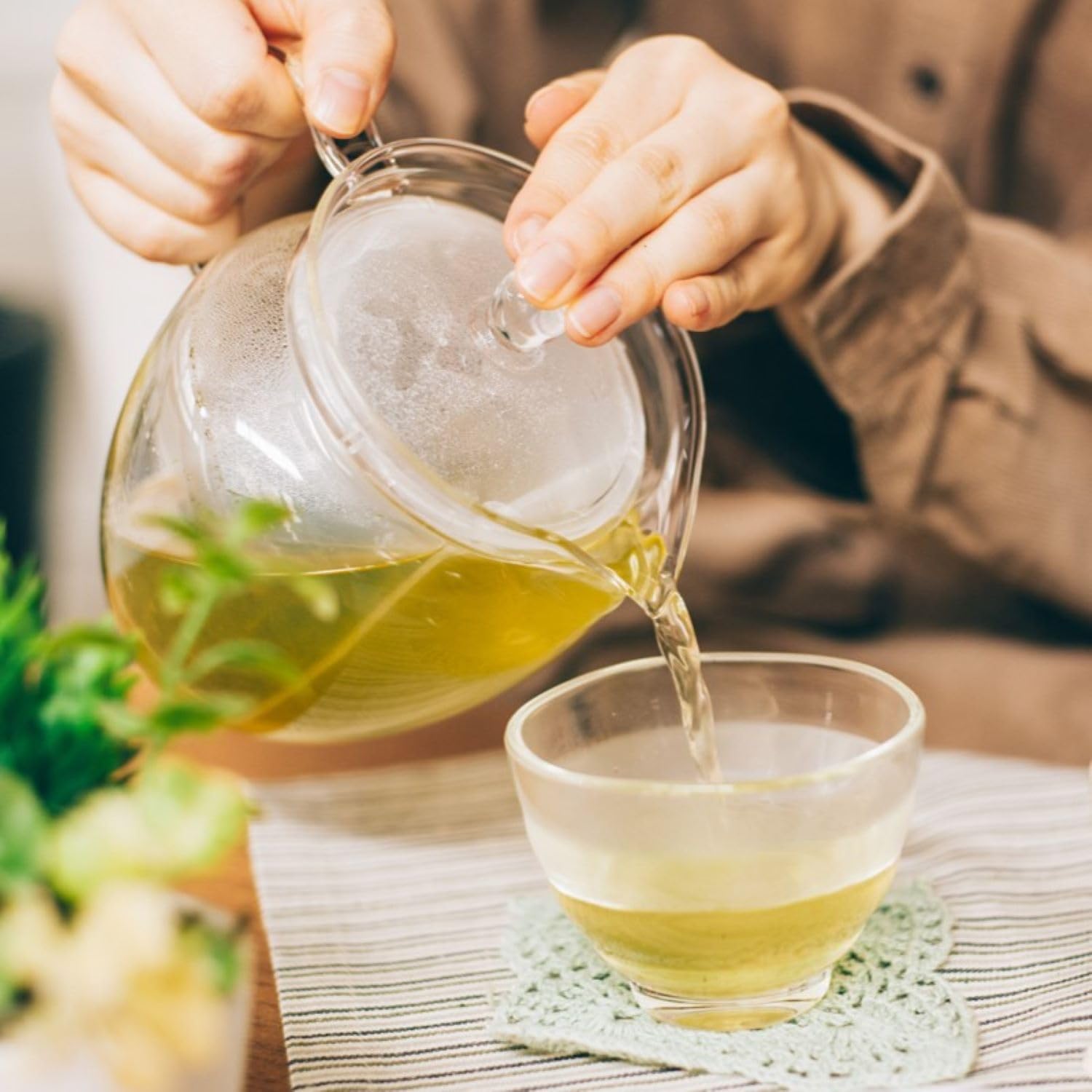 Hario CHRN-2N Teapot Glass Tea/Jujube 360ml 2P