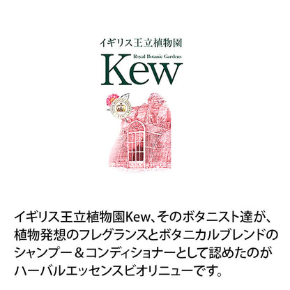 Herbal Essence Bio-Renew Moroccan Oil Conditioner 400Ml Japan (1)