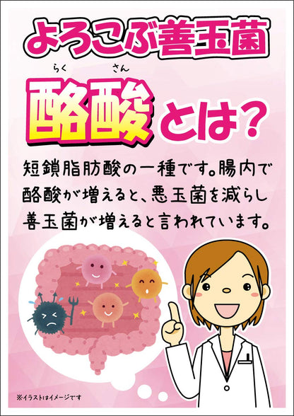 Yuwa Japan High Concentration Butyric Acid Bacteria 100M 28 Capsules