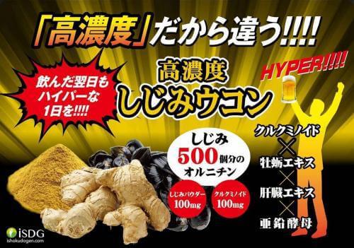 Isdg High Concentration Turmeric Supplement 30 Days 60 Tablets - Japanese Herbal Supplements