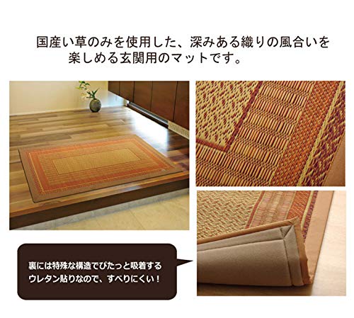 Ikehiko Corporation F-Rank Navy Entrance Mat 60X120Cm - Made In Japan