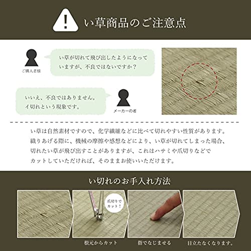 Ikehiko Japan Igusa Rug Carpet 191X250Cm Anti-Slip Beige #8246739 Koba-Guard Antibacterial