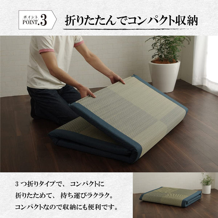 Ikehiko Corporation Japanese Igusa Sheets Bed Pad Noah Raku Raku Single Black