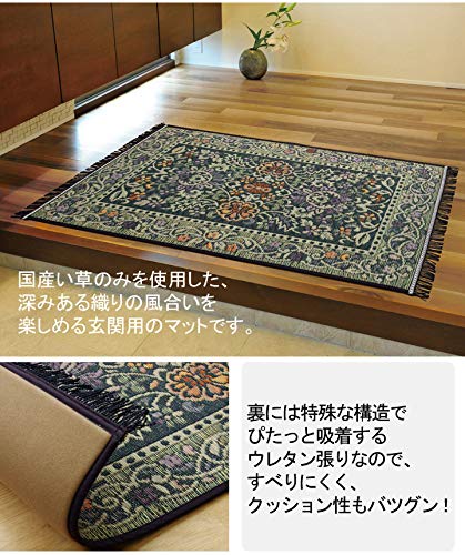 Ikehiko Japan Igusa Entrance Mat 70X120Cm F Gradation Beige #8819870