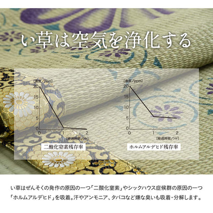 Ikehiko Corporation Igusa Gozen Japanese Buddhist Altar Cushion Yuzen Nassen Shosoin 70X70Cm #3108009