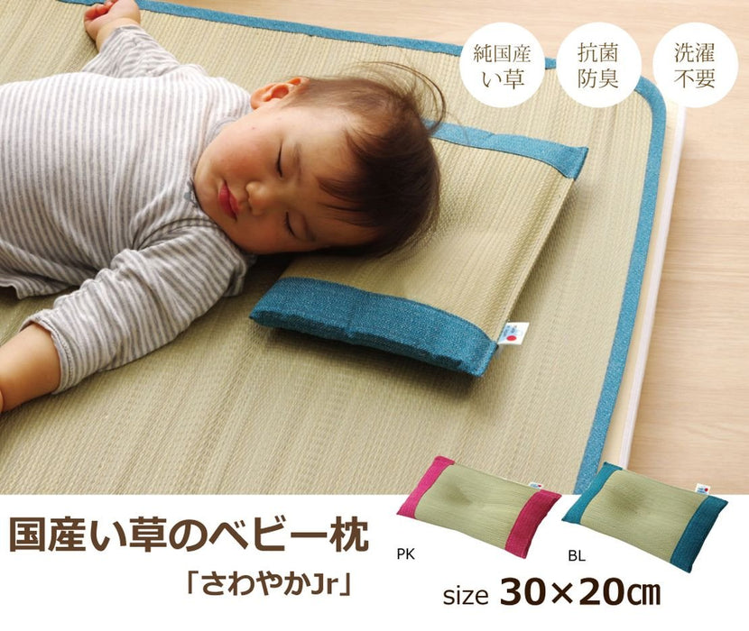 Ikehiko Japan Made Flat Pillow 30X20Cm Blue #3625279 | Ikehiko Corporation