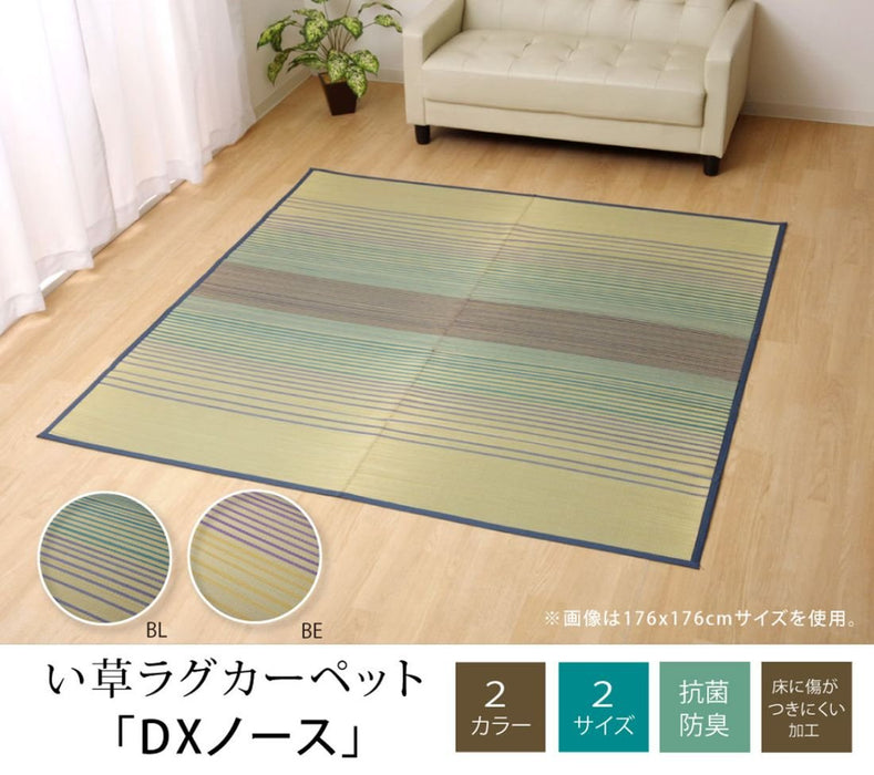 Ikehiko Corporation Igusa Rug Carpet Blue 2 Tatami Square From Japan | 120Cm X 120Cm