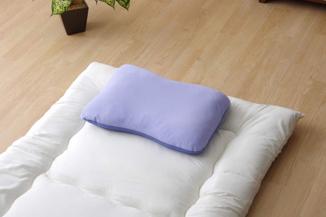 Ikehiko Pillow Washable Antibacterial Deodorizing 38X56Cm Japan #2917509