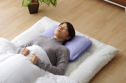 Ikehiko Pillow Washable Antibacterial Deodorizing 38X56Cm Japan #2917509