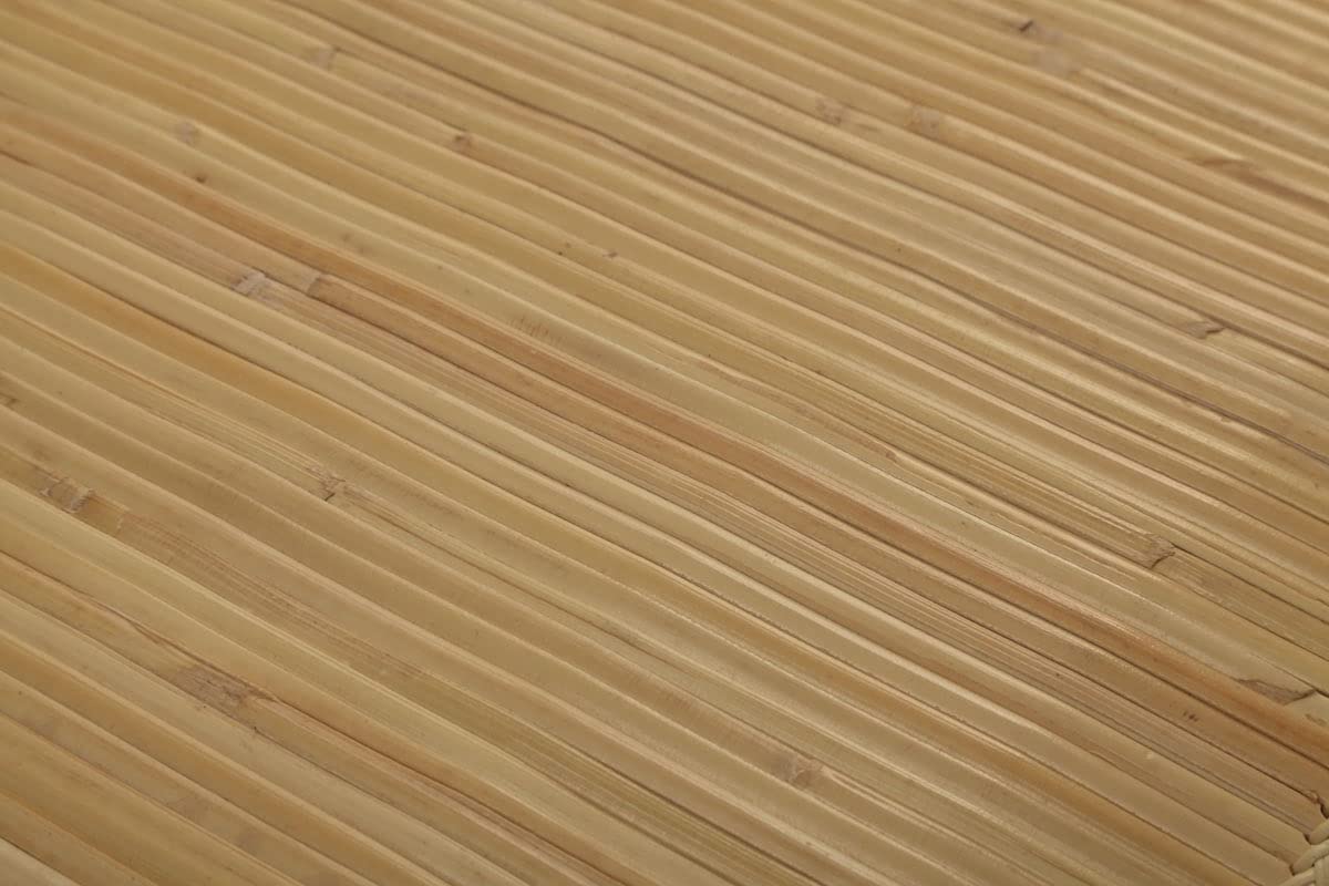 Ikehiko Corporation Rattan Entrance Mat 50X80Cm Japan #5201930