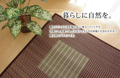 Ikehiko Corporation Japan Rug Carpet Rush Tatami Mat Square F Light Blue Simple