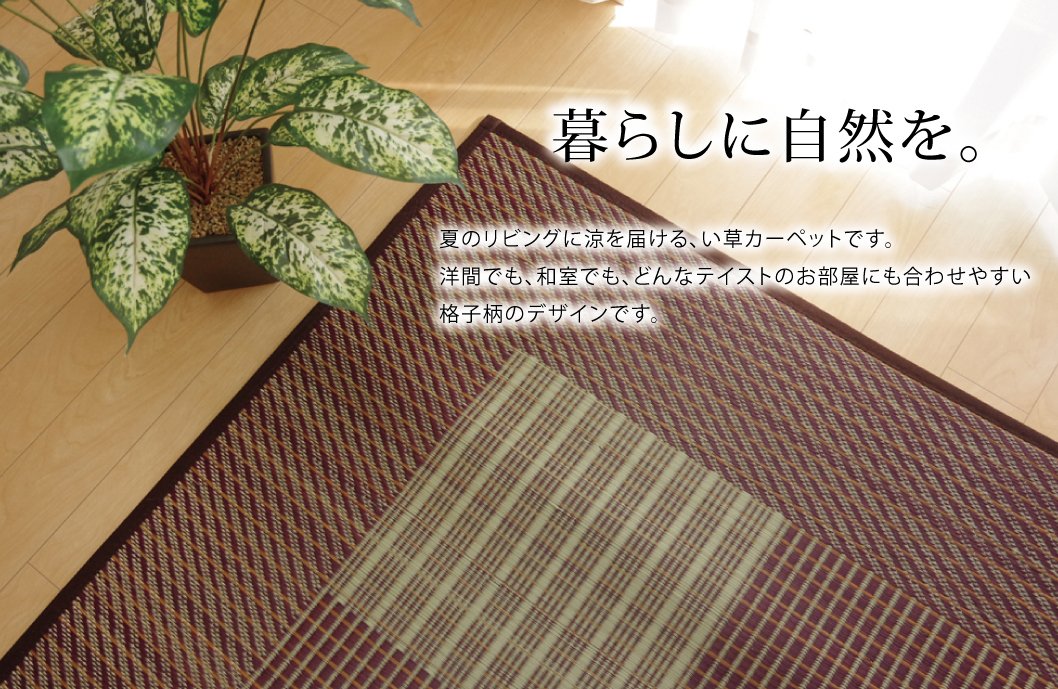 池彦株式会社 日本地毯 蔺草榻榻米 方形 F 浅蓝色 简约
