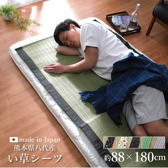 池彦公司灰色 Hiba 加工地毯蔺草床单 88X180Cm 日本制造 #6508009