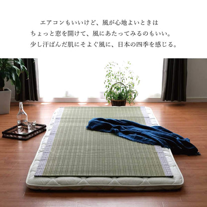 Ikehiko Corporation Gray Hiba Processing Rug Rush Sheets 88X180Cm Made In Japan #6508009