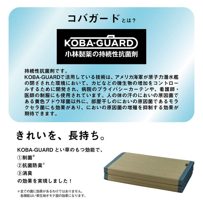 Ikehiko Rush Clear Mat 80X180Cm 抗菌除臭 日本 #7559379