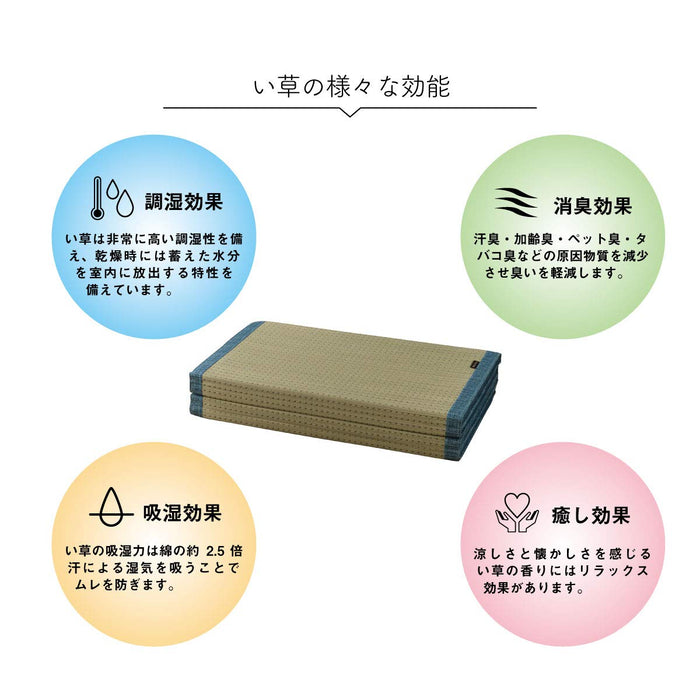 Ikehiko Rush Clear Mat 80X180Cm Antibacterial Deodorizing Japan #7559379