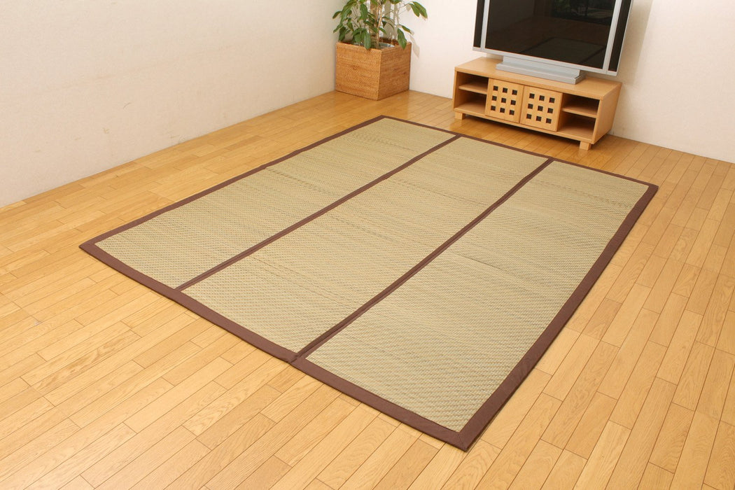 Ikehiko Rush 地毯 2 張榻榻米 - 200X200 公分（中號：聚氨酯尖 8 毫米） - 日本製造