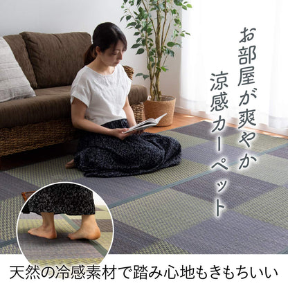 Ikehiko Rush Rug Carpet Hanagoza Dx Pia Edoma 2 Tatami Gray Japan #4336102 174X174Cm