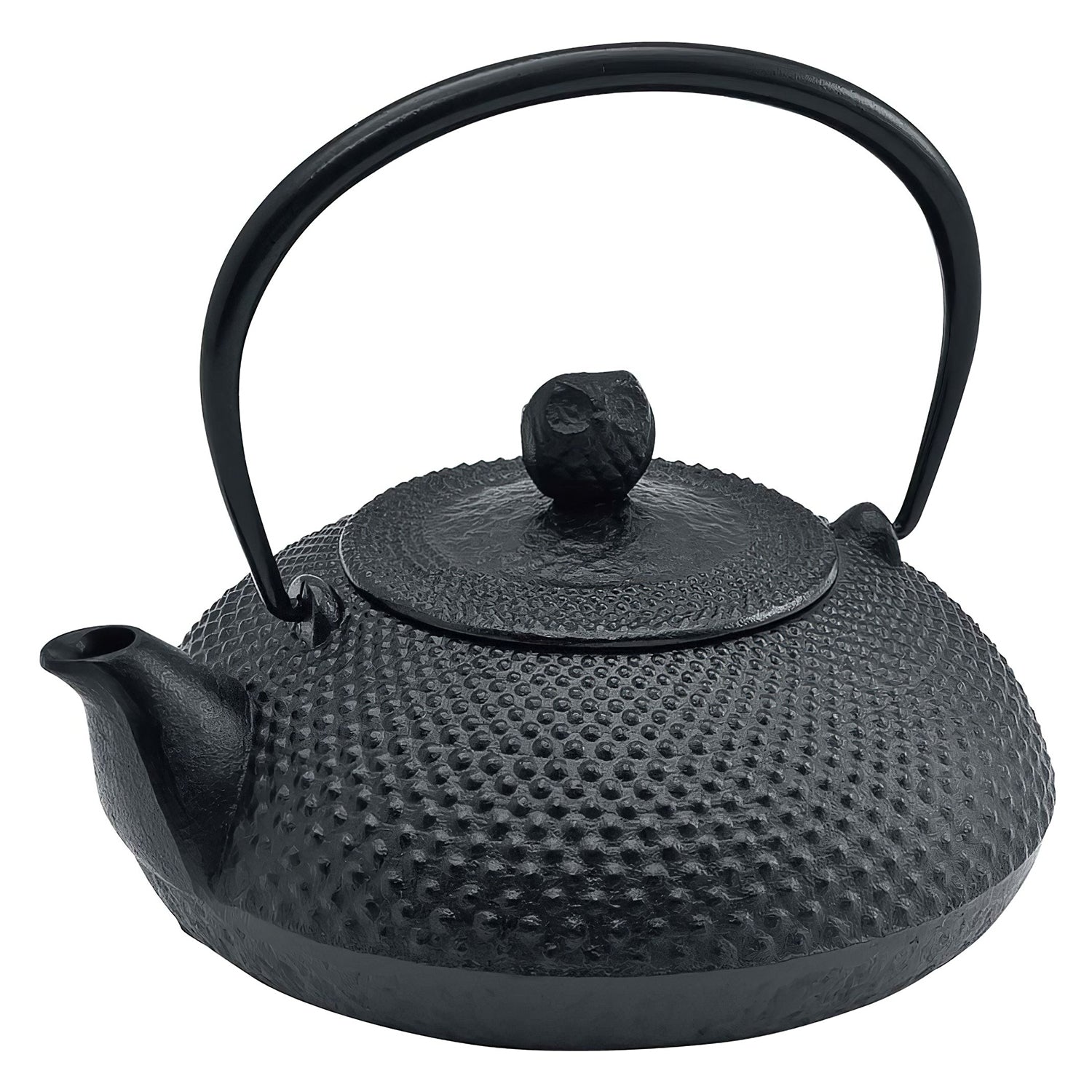 Ikenaga Nambu Cast Iron Tetsubin Kettle Houju