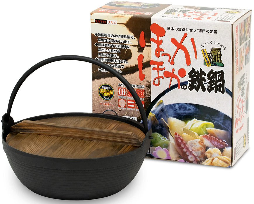 Ikenaga Iron Works Tekko Iron Pot 24Cm W/ Wooden Lid - Ih Compatible 2-3 People Japan Gourmet