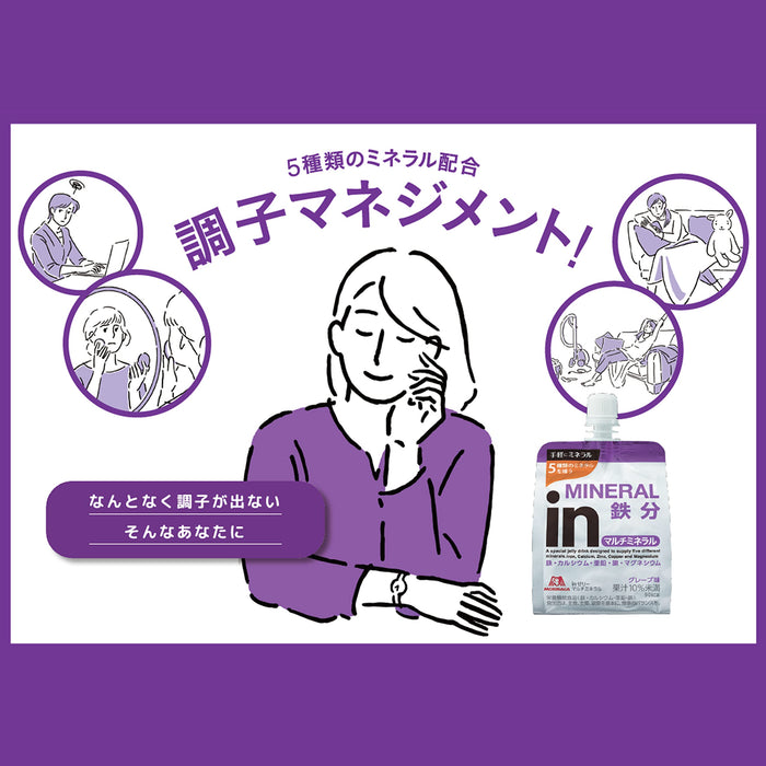 In Jelly Multi-Mineral Grape Flavor Dietary Supplement 180G X 6 Pieces - Iron Calcium Zinc Copper Magnesium - Japan Nutrient Functional Food