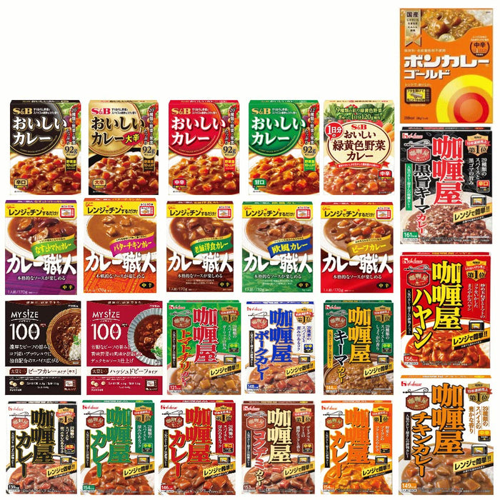 Hiroshimaya Japan Instant Curry Oishii Medium Spicy 20 Servings Assorted Set