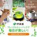 Ito en oi Ocha Premium Tea Bag Green With Uji Matcha 1.8g x 20 Bags [Tea Bag] Japan With Love 1