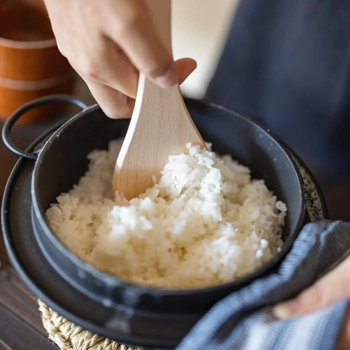 Iwachu Japan Cast Iron Rice Cooker Casserole 2-Go