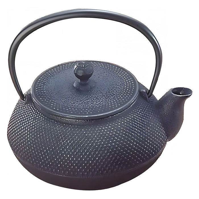Iwachu Nambu Cast Iron Japanese Teapot Arare 300Ml