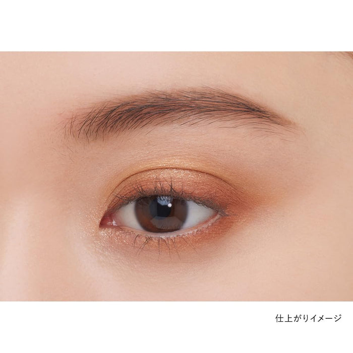 Kanebo Eye Color Shadow 04 - Premium Quality Long Lasting Kanebo Makeup
