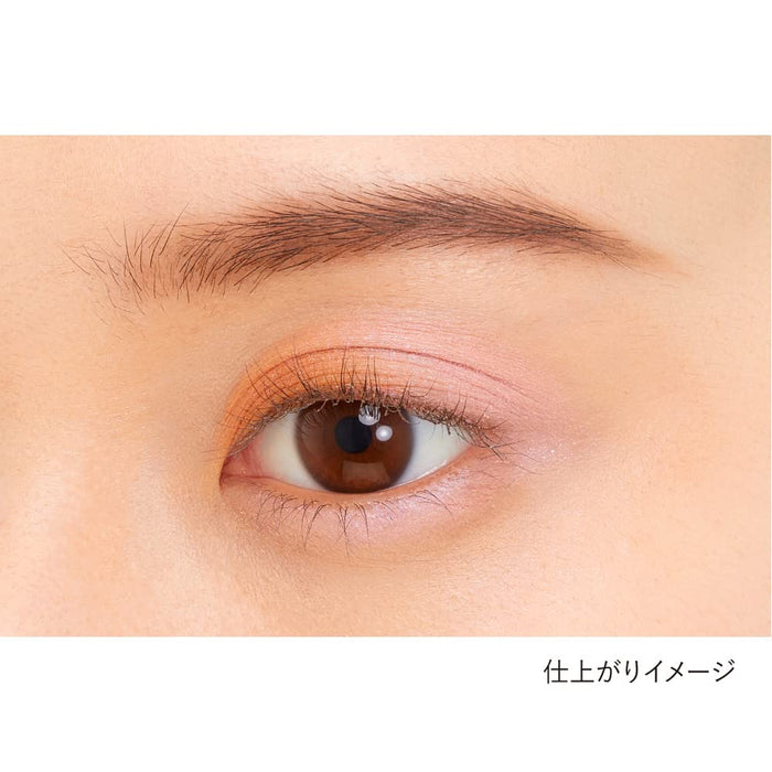 Kanebo Eye Color Duo 16 1.4G Stylish Pick Me Eyeshadow
