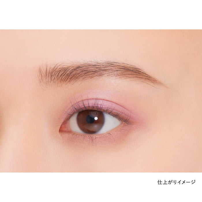 Kanebo Eye Color Duo 22 - 來自 Kanebo 的優質彩妝