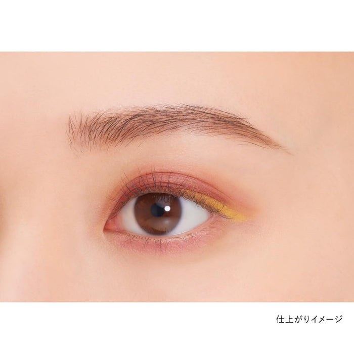 嘉娜寶 Kanebo Eye Color Duo No. 23 - 雙色眼影
