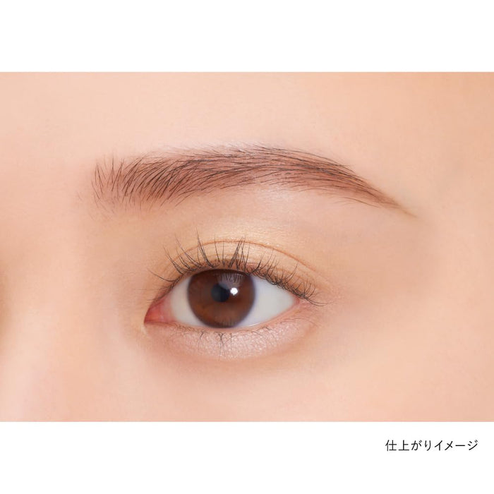 Kanebo Eye Color Duo 24 - 嘉娜寶高級眼影