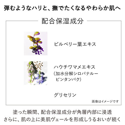 Kanebo Skin Essence V Refill - Premium Care by Kanebo